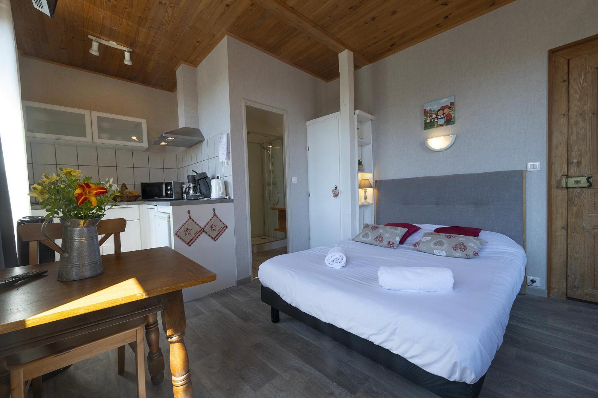 Pinot Gris - Charmant Studio Au Coeur Du Vignoble - Parking Gratuit Riquewihr Dış mekan fotoğraf