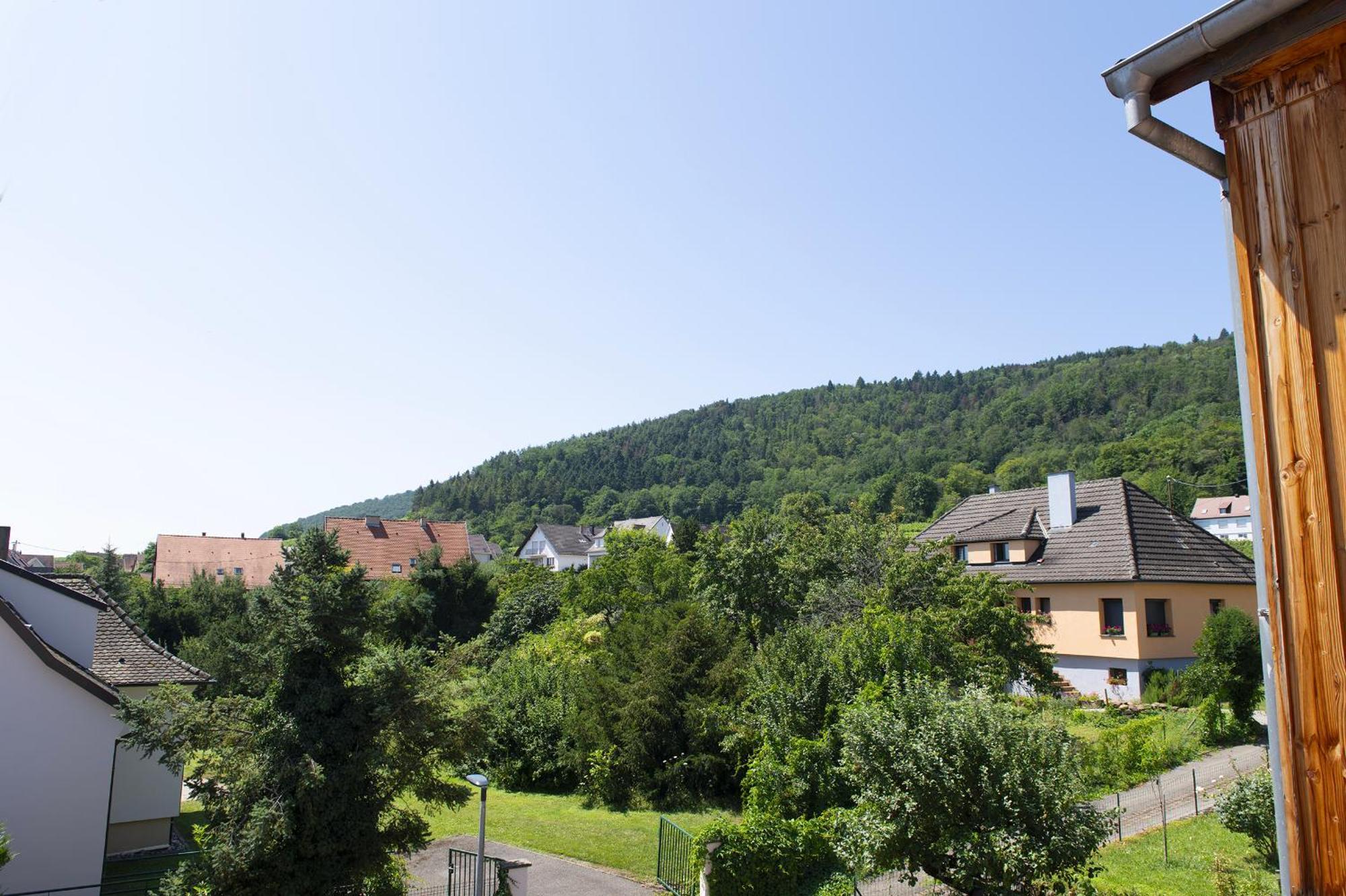 Pinot Gris - Charmant Studio Au Coeur Du Vignoble - Parking Gratuit Riquewihr Dış mekan fotoğraf