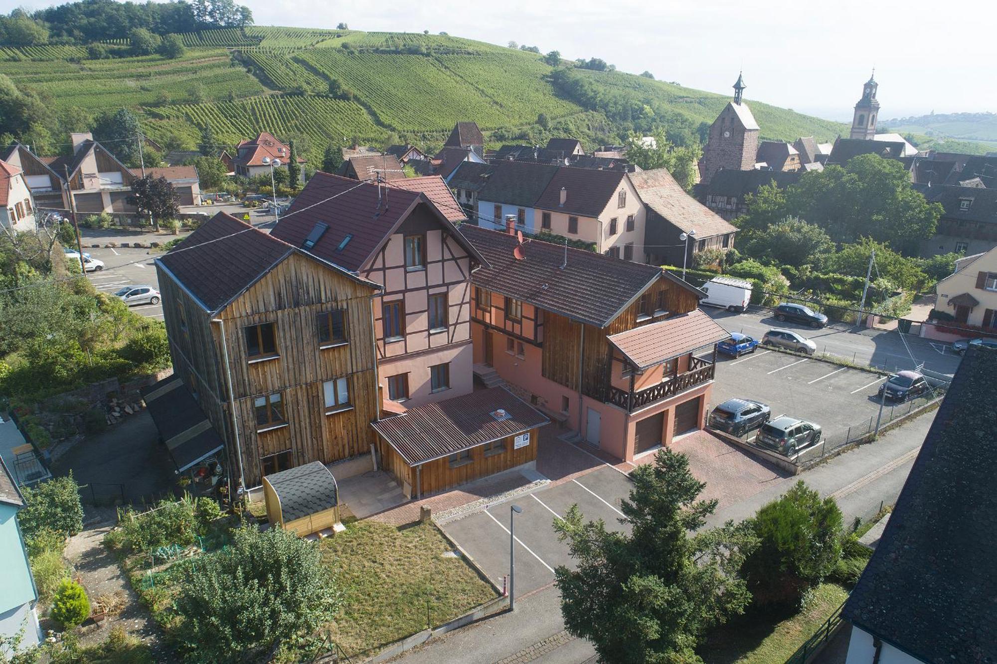 Pinot Gris - Charmant Studio Au Coeur Du Vignoble - Parking Gratuit Riquewihr Dış mekan fotoğraf