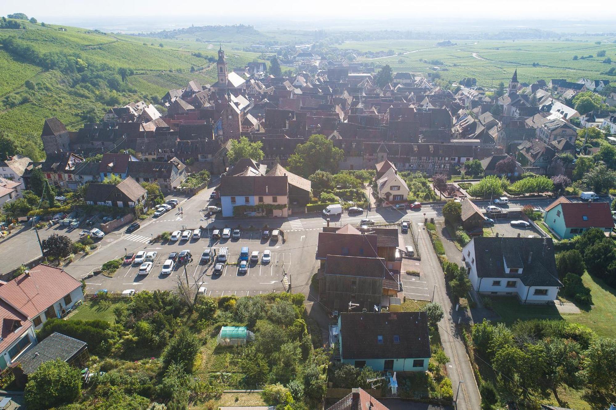 Pinot Gris - Charmant Studio Au Coeur Du Vignoble - Parking Gratuit Riquewihr Dış mekan fotoğraf